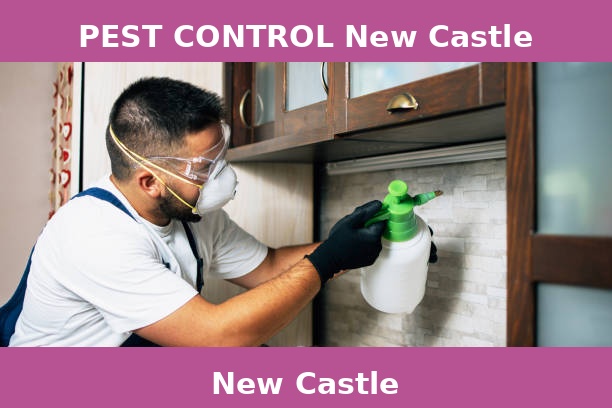 PEST CONTROL New Castle
